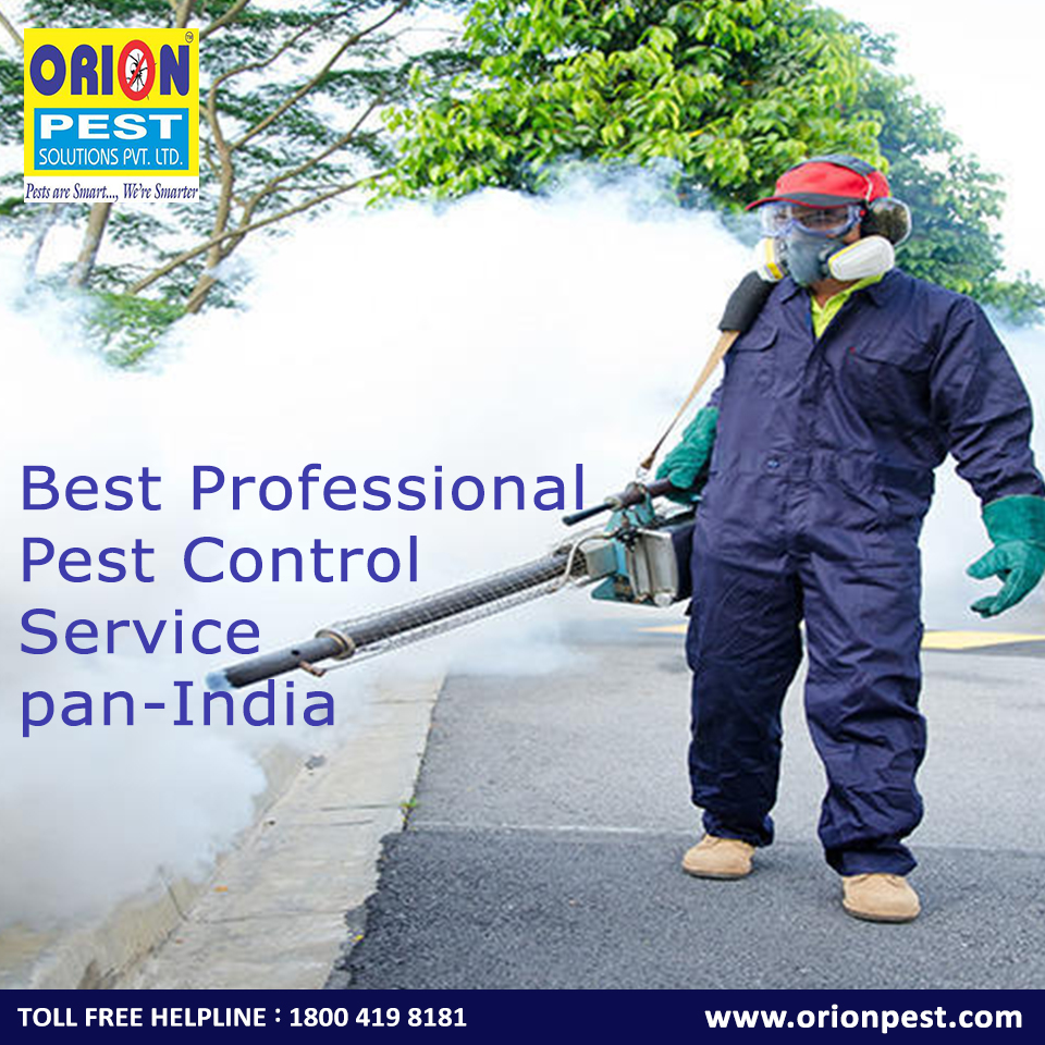 Best Professional Pest Control Service pan-India