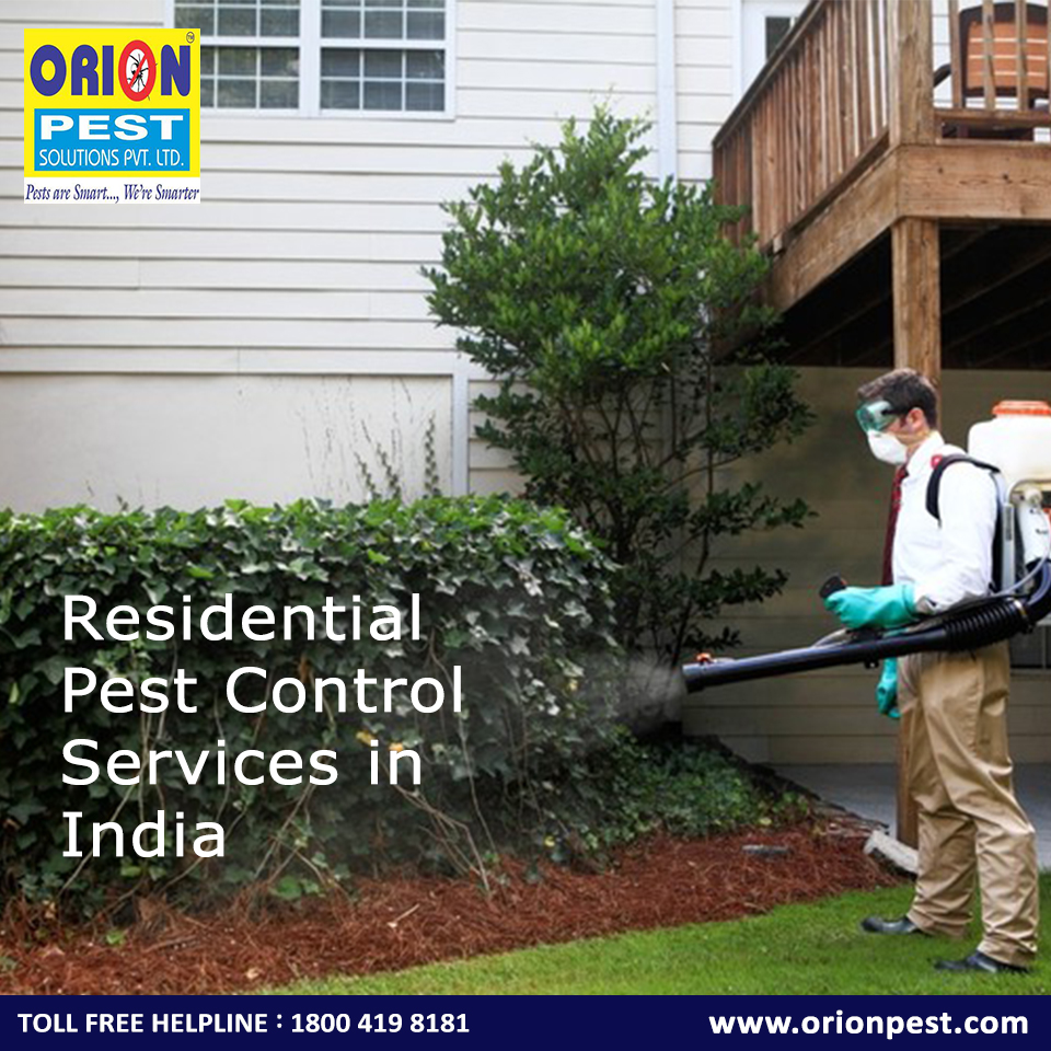 Residential Pest Control Services in India