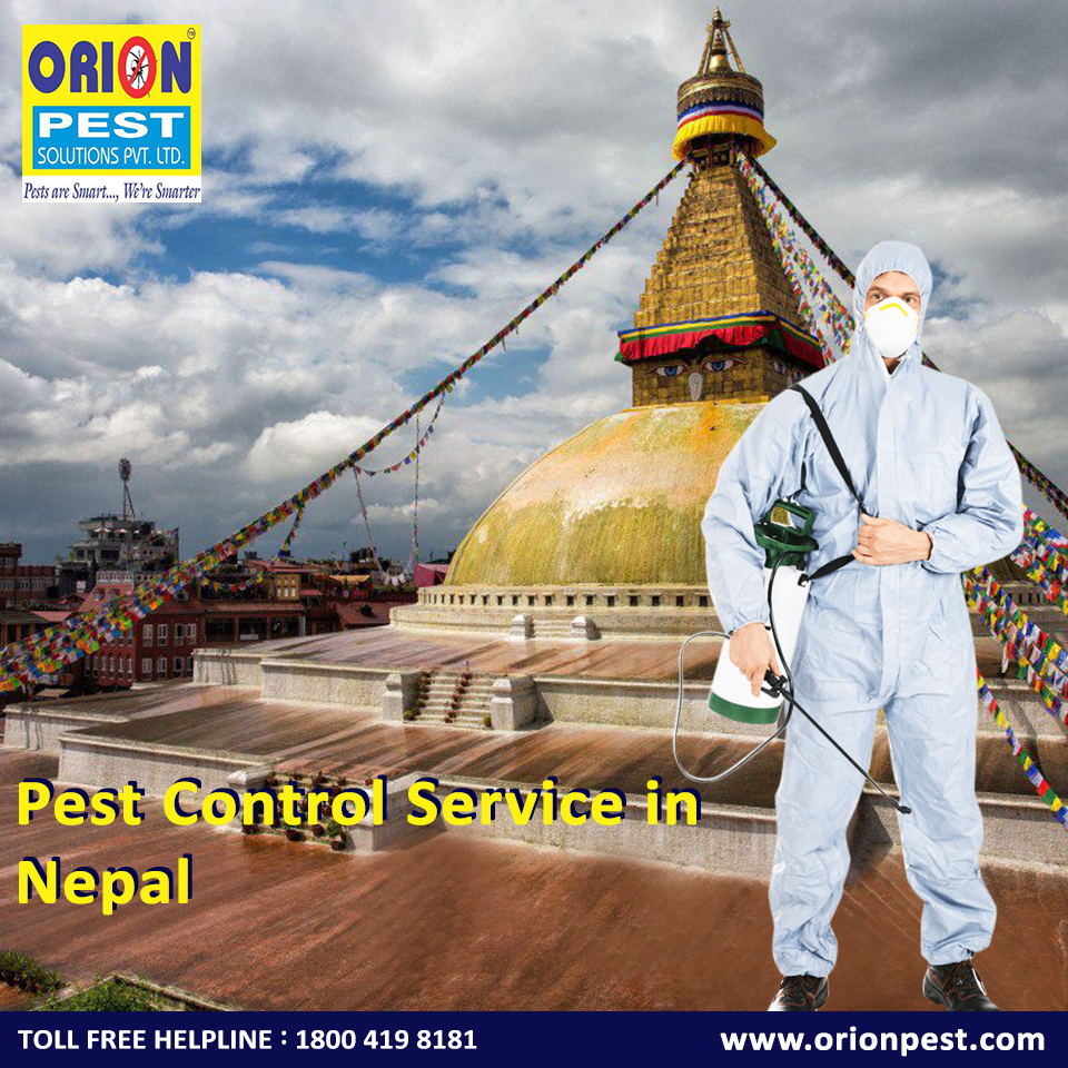 Best Pest Control Services in Nepal