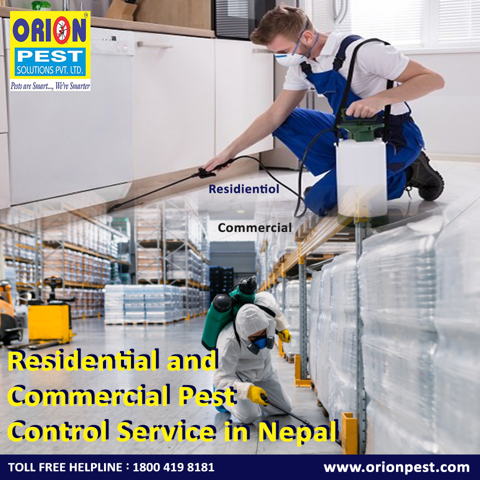 Residential and Commercial Pest Control Service in Nepal