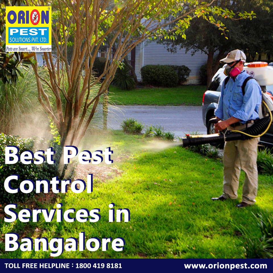 Best Pest Control Service in Bangalore