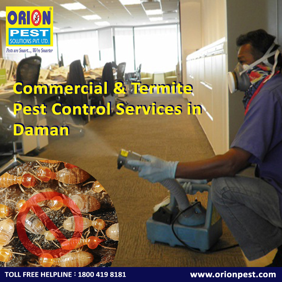 Commercial & Termite Pest Control Services in Daman