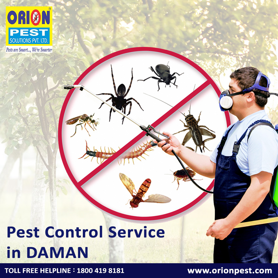 Pest Control Services in Daman
