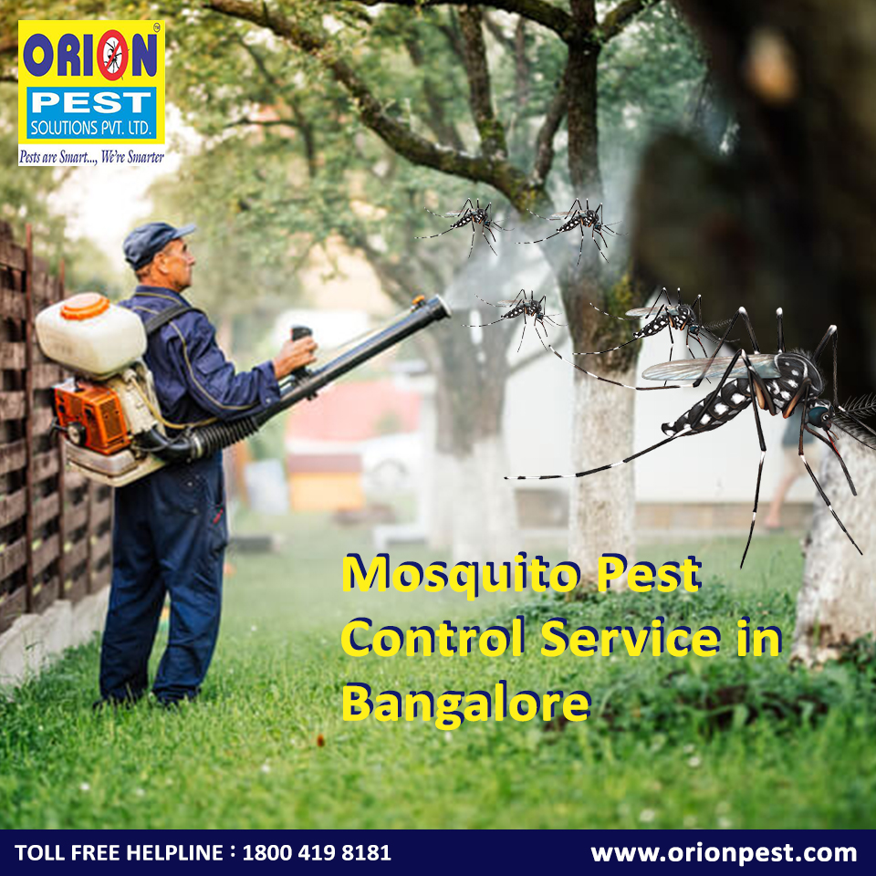 Mosquito Pest Control Service in Bangalore
