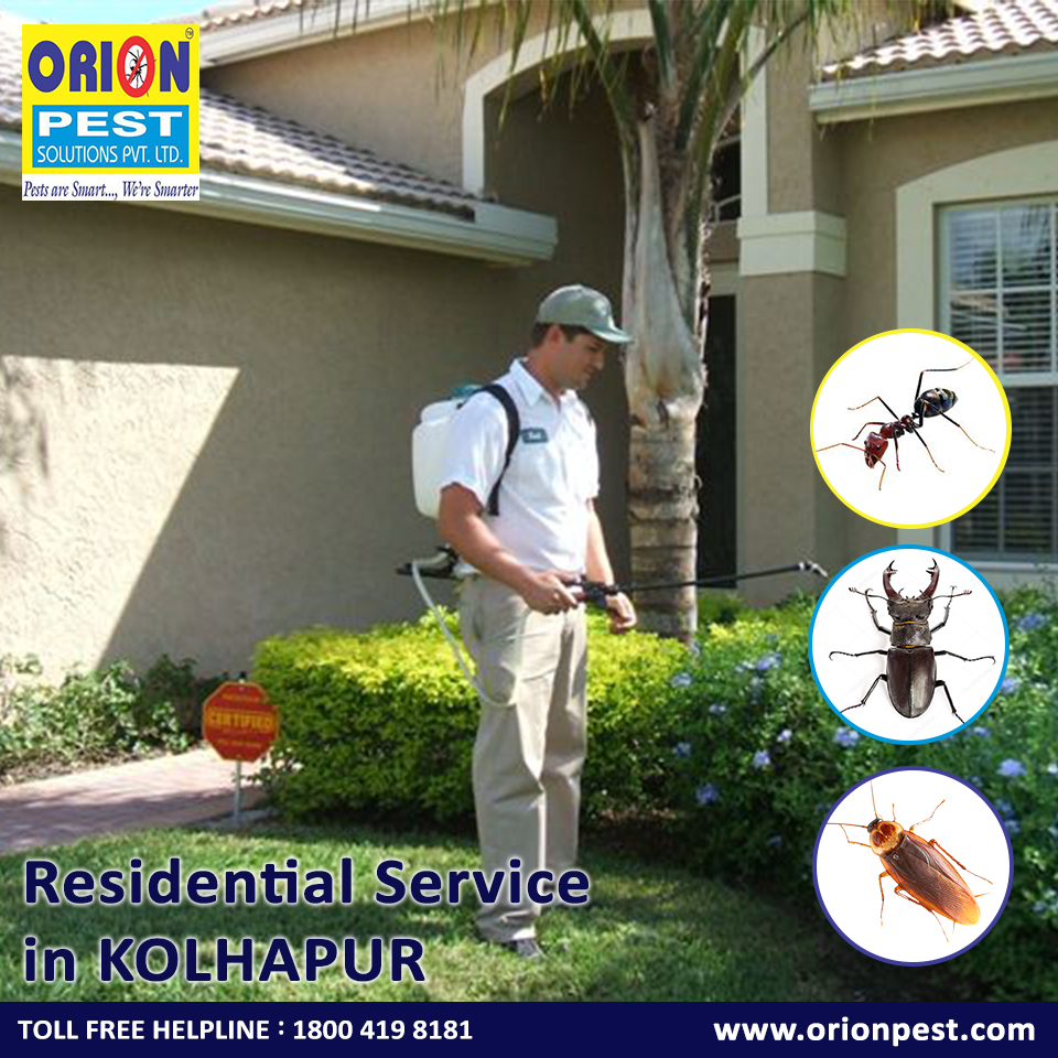 RESIDENTIAL PEST CONTROL SERVICES IN KOLHAPUR