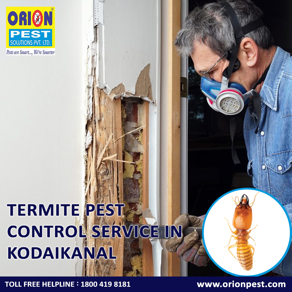 fresno termite control