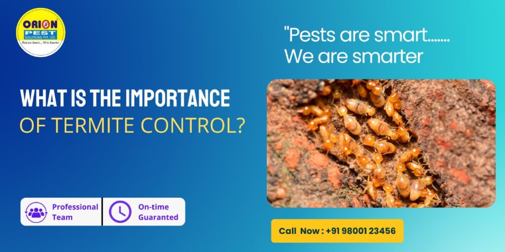 Why Termite Control is important